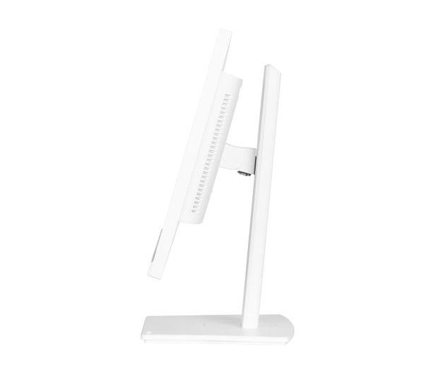 IIYAMA ProLite XUB2497HSN-W2 - 1284777 - zdjęcie 5